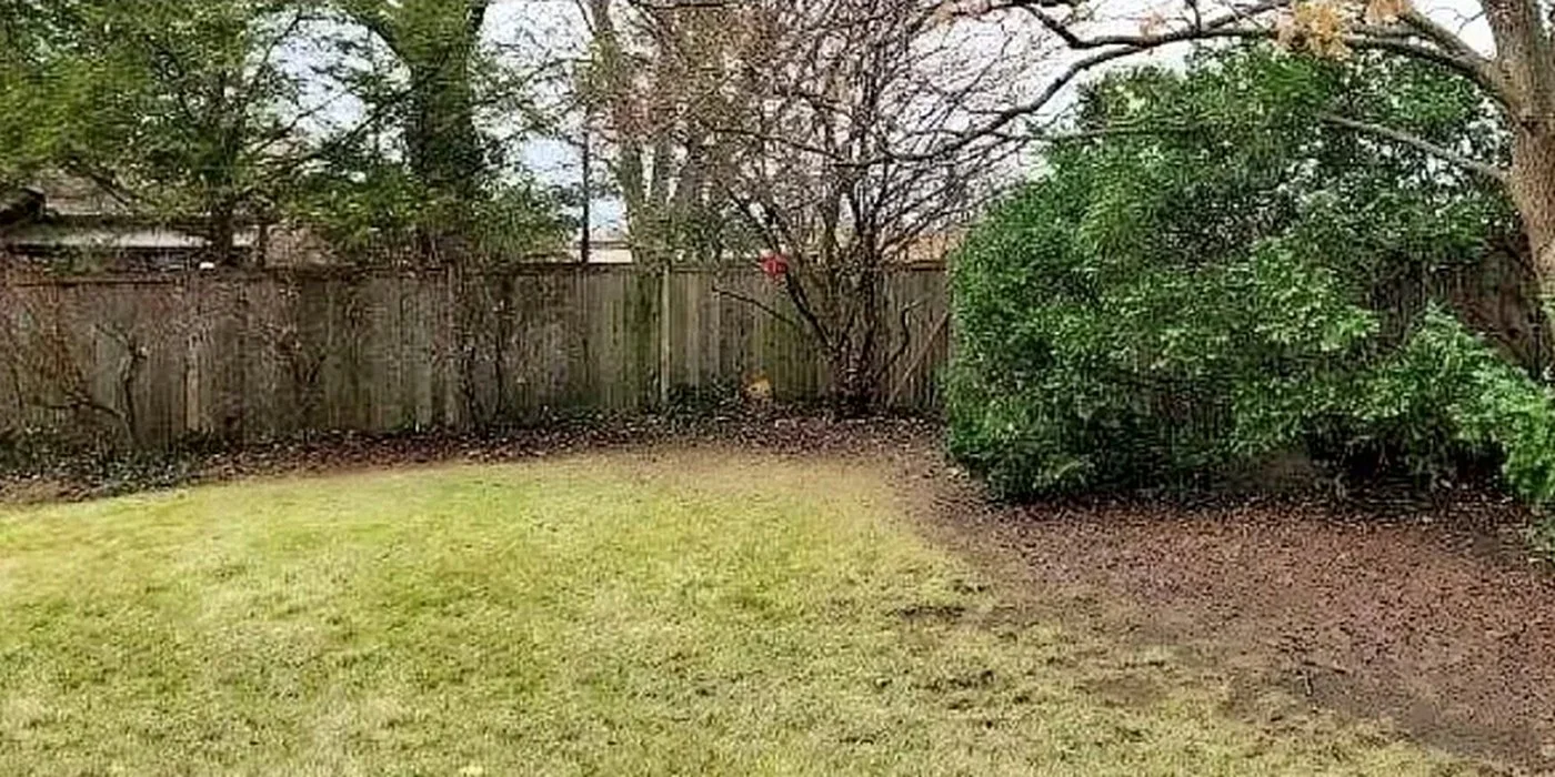 The same backyard lawn after fallen leaves were cleared