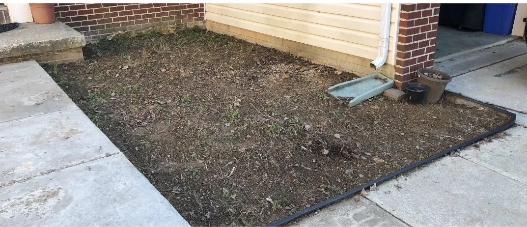 Before mulch installation - brick house front bed overgrown